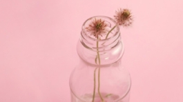 DeWatermark.ai_1753682485661