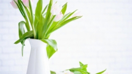 demo-attachment-783-brooke-lark-210780@2x